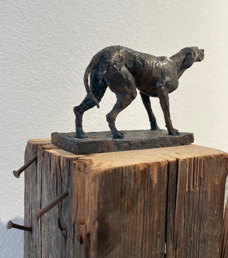 "Hund" - Christian Rösner