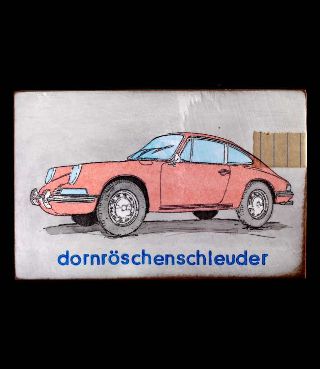"dornröschenschleuder" - Jan M. Petersen
