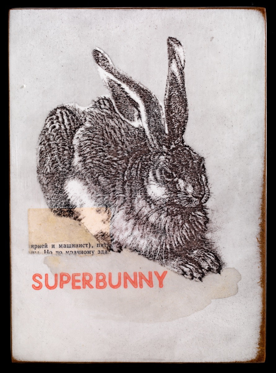 "superbunny" - Jan M. Petersen