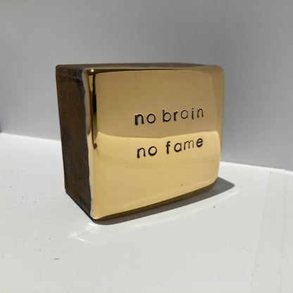 "no brain no fame" - Jan M. Petersen