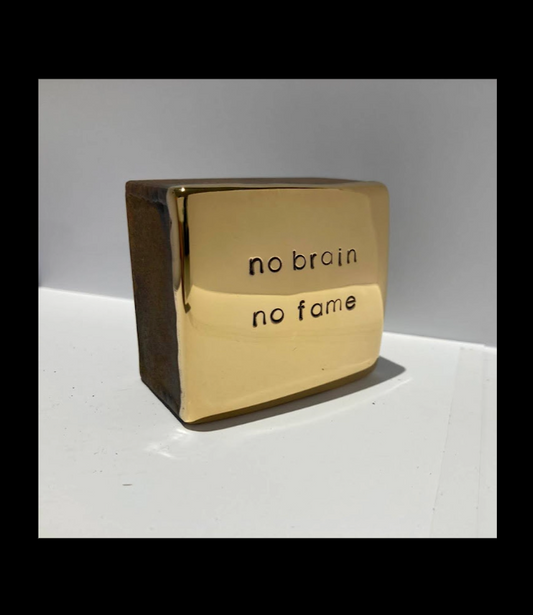 "no brain no fame" - Jan M. Petersen