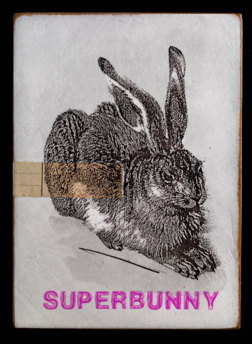 "superbunny" - Jan M. Petersen