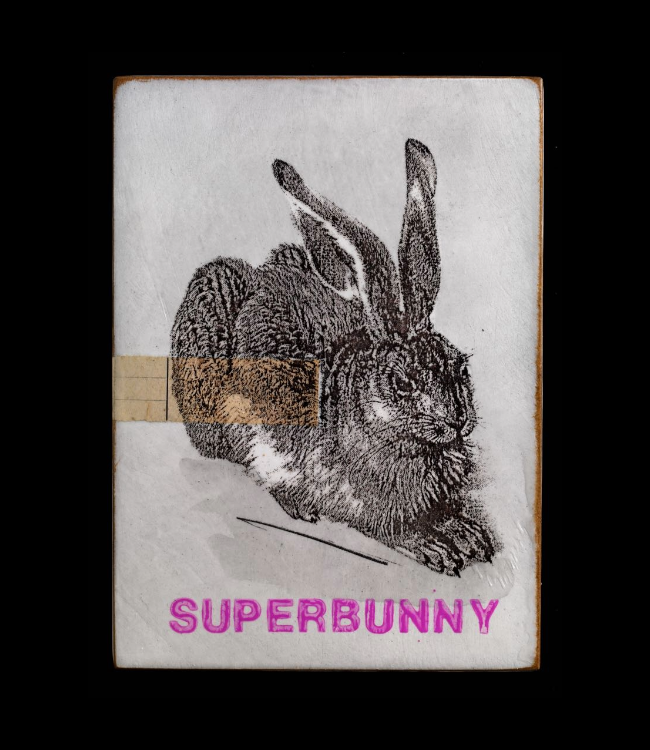 "superbunny" - Jan M. Petersen